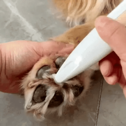 Pet Style- La tosatrice che coccola